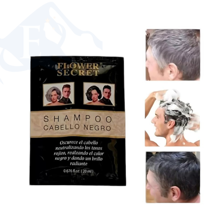 Caja 12 und Shampoo Canas Cabello Negro